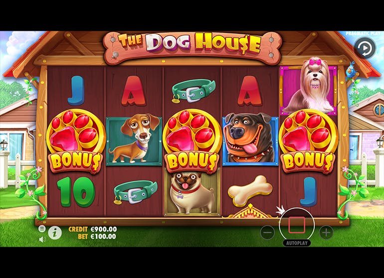 How to Maximize Your Winnings on The Dog House Megaways